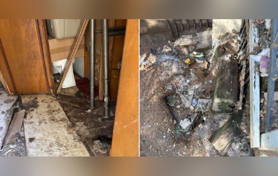 Grass Valley Couple Rearrested on Severe Animal Cruelty Charges, 18 Dogs Rescued from Neglectful Conditions