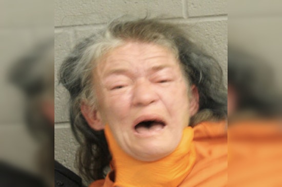 Harris County Deputies Apprehend Woman with Open Felony Warrant on Donalbain Drive