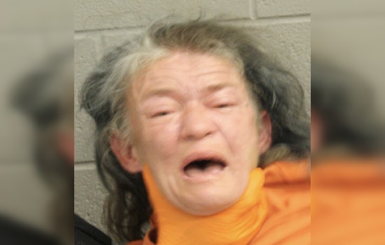 Harris County Deputies Apprehend Woman with Open Felony Warrant on Donalbain Drive