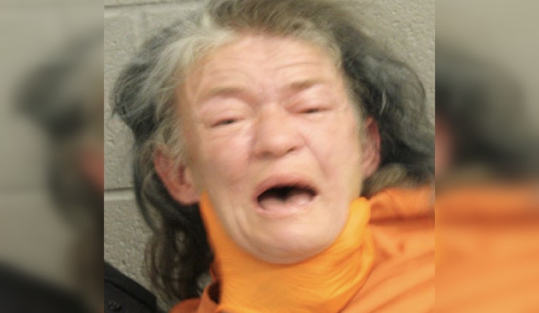 Harris County Deputies Apprehend Woman with Open Felony Warrant on Donalbain Drive