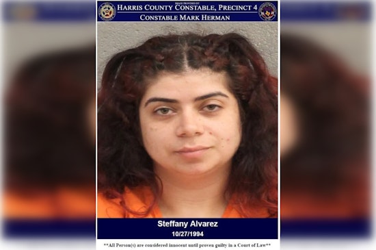 Harris County Deputies Arrest Suspected Drunk Driver on N Sam Houston Parkway