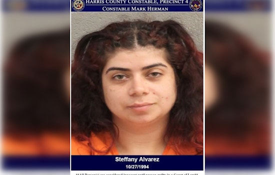 Harris County Deputies Arrest Suspected Drunk Driver on N Sam Houston Parkway