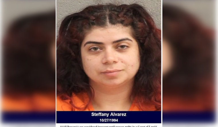 Harris County Deputies Arrest Suspected Drunk Driver on N Sam Houston Parkway