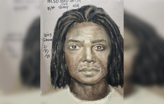 Harris County Sheriff's Office Launches Manhunt for Suspect in Kidnapping and Assault of Teen in Katy