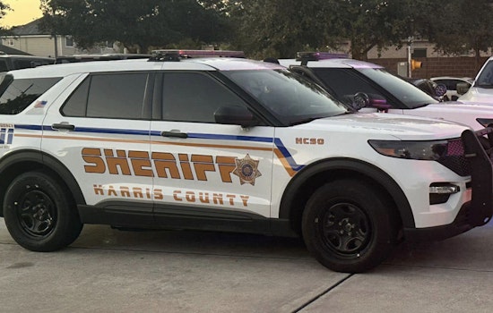 Harris County Sting Operation Nets 20 Men on Felony Prostitution Charges