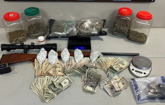 Hartwell Man Charged After Nearly 1,000 Ecstasy Pills, Marijuana, and Gun Seized in Drug Bust