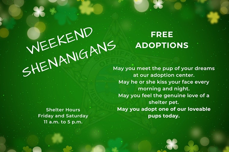 Hernando County Sheriff's Office Seeks Community Support in Wake of Animal Cruelty Case; Encourages Free Dog Adoptions