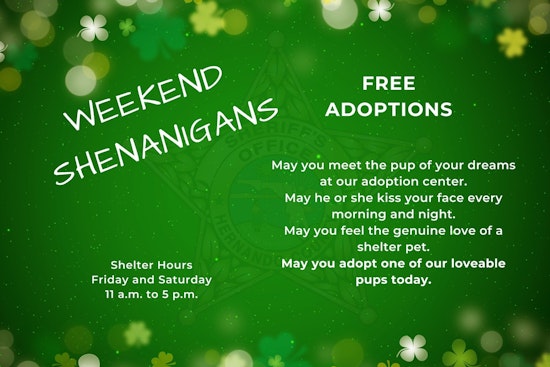 Hernando County Sheriff's Office Seeks Community Support in Wake of Animal Cruelty Case; Encourages Free Dog Adoptions