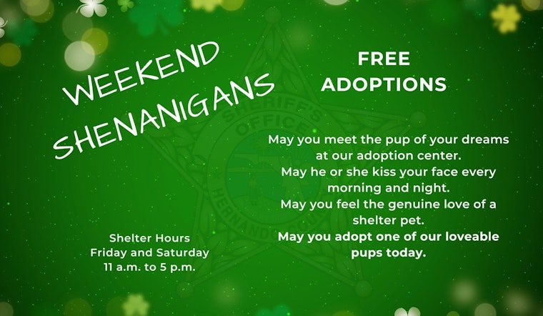 Hernando County Sheriff's Office Seeks Community Support in Wake of Animal Cruelty Case; Encourages Free Dog Adoptions