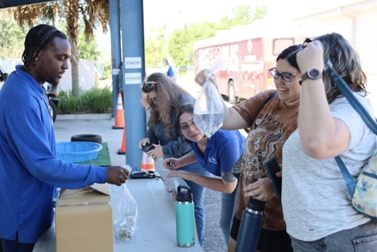 Hillsborough County Announces Free Mosquitofish Giveaway to Help Fight Mosquitoes in Tampa