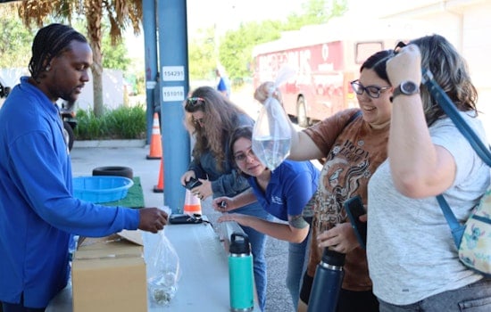 Hillsborough County Announces Free Mosquitofish Giveaway to Help Fight Mosquitoes in Tampa