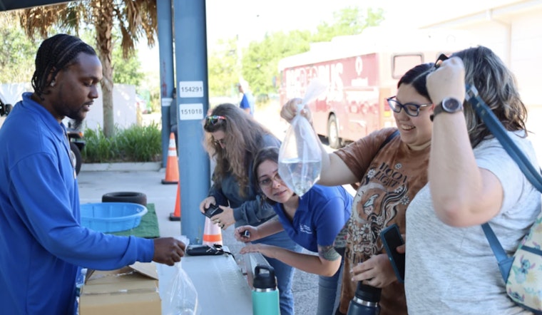 Hillsborough County Announces Free Mosquitofish Giveaway to Help Fight Mosquitoes in Tampa