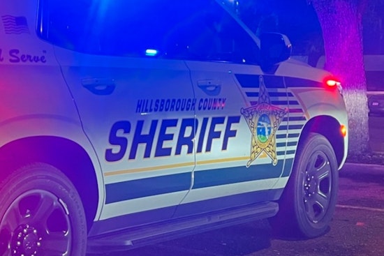 Hillsborough County Deputies Nab Suspects After Early Morning Car Theft in Wimauma