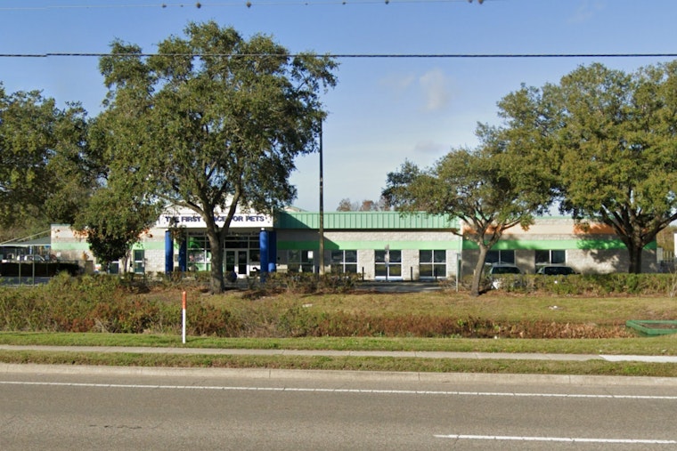 Hillsborough County Pet Resource Center Suspends Dog Intake Amid Canine Pneumovirus Outbreak in Tampa