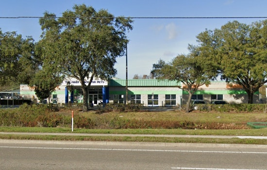 Hillsborough County Pet Resource Center Suspends Dog Intake Amid Canine Pneumovirus Outbreak in Tampa