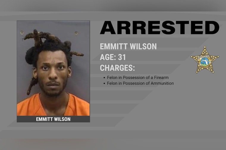 Hillsborough County Sheriff's Office Arrests Convicted Felon Emmitt Wilson on Firearm Possession Charges