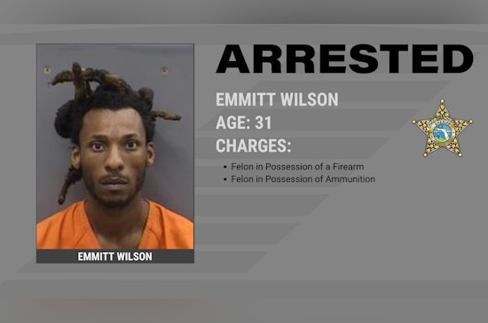 Hillsborough County Sheriff's Office Arrests Convicted Felon Emmitt Wilson on Firearm Possession Charges
