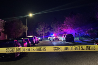 Hillsborough Deputy Shoots Armed Domestic Violence Suspect in Riverview Confrontation