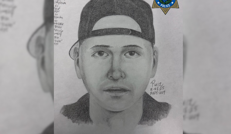 Hillsborough Police Seek Public's Help, Dash Cam Footage for Clues in Search for Suspect in Officer Shooting