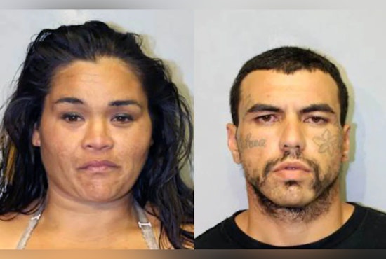 Hilo Police Charge Duo in Car Theft Case Involving Elderly Tourist, Local Community Urged to Report Crimes Against Seniors