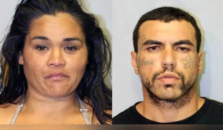 Hilo Police Charge Duo in Car Theft Case Involving Elderly Tourist, Local Community Urged to Report Crimes Against Seniors