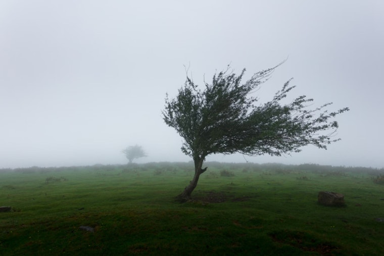 Honolulu Braces for Windy Week With High Surfs and Showers Ahead