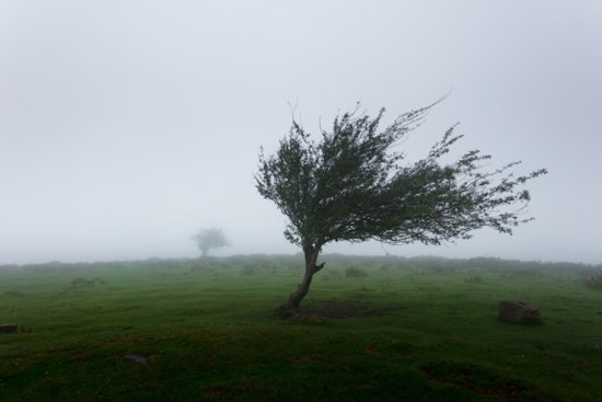 Honolulu Braces for Windy Week With High Surfs and Showers Ahead