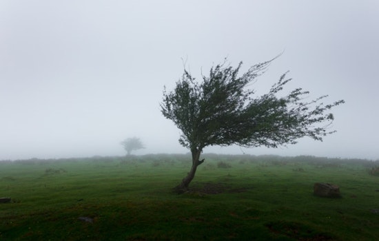 Honolulu Braces for Windy Week With High Surfs and Showers Ahead