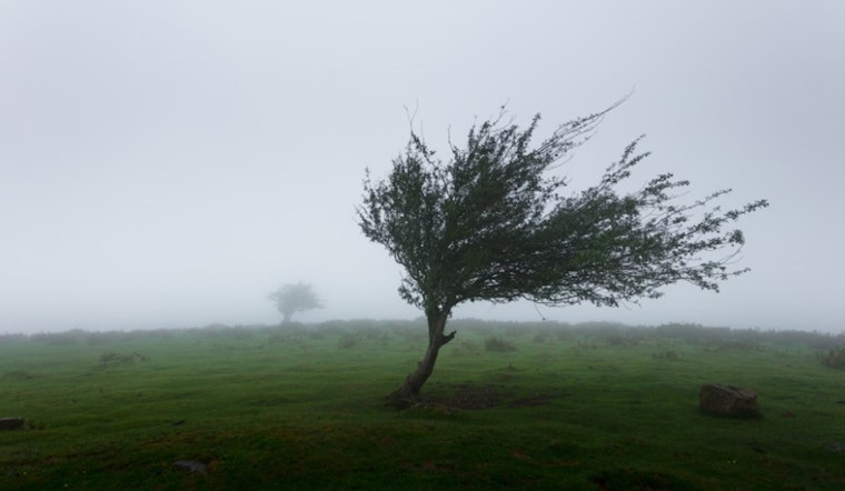 Honolulu Braces for Windy Week With High Surfs and Showers Ahead