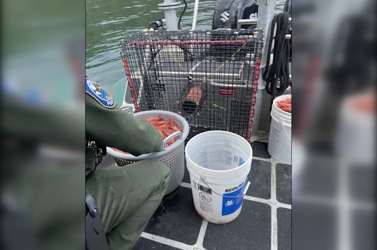 Hood Canal Shrimp Poacher Sentenced to Home Monitoring in Jefferson County