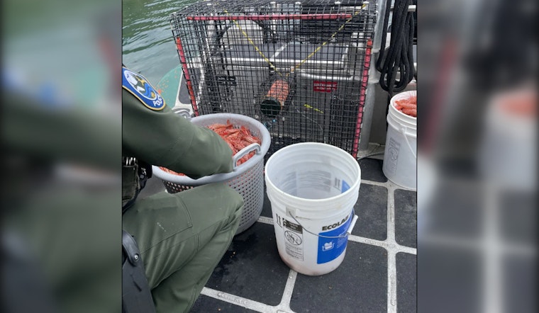 Hood Canal Shrimp Poacher Sentenced to Home Monitoring in Jefferson County