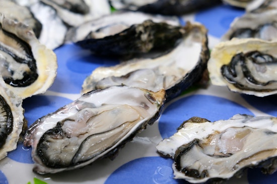 Houma Man Cited for Illegal Oyster Harvesting in Terrebonne Parish, Louisiana