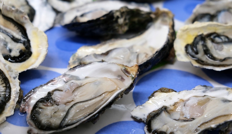 Houma Man Cited for Illegal Oyster Harvesting in Terrebonne Parish, Louisiana