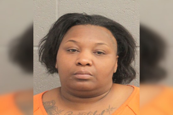 Houston Area Woman Arrested for Filing False Report to Police in Alleged Juvenile Gun Incident