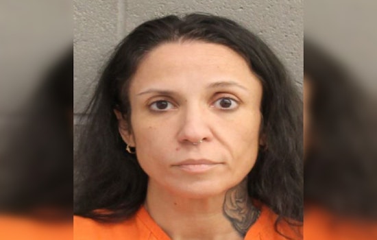 Houston Area Woman Charged with DWI and Unlawful Weapon Possession on Hardy Toll Road