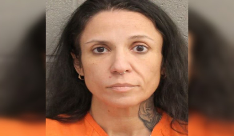Houston Area Woman Charged with DWI and Unlawful Weapon Possession on Hardy Toll Road