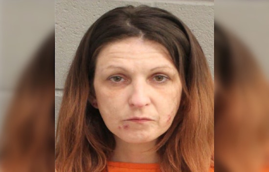 Houston Area Woman Charged with Theft after Alleged Shoplifting Incident at Hobby Lobby