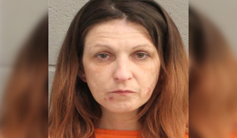Houston Area Woman Charged with Theft after Alleged Shoplifting Incident at Hobby Lobby