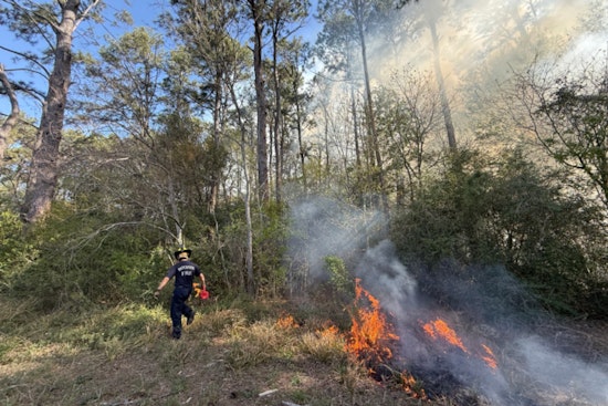 Houston Firefighters Contain Wildfire at Keith Weiss Park, Safety and Air Quality Monitored