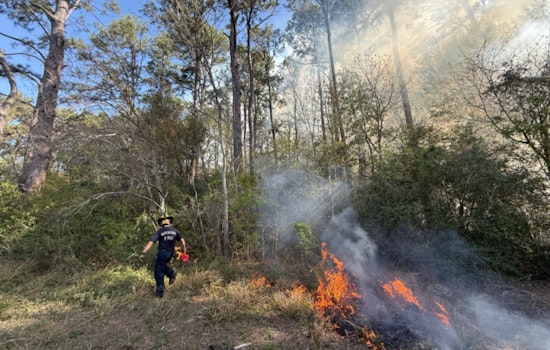 Houston Firefighters Contain Wildfire at Keith Weiss Park, Safety and Air Quality Monitored