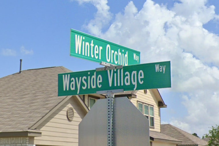 Houston Police Investigate After Elderly Woman Fatally Mauled by Dogs in Quiet Neighborhood