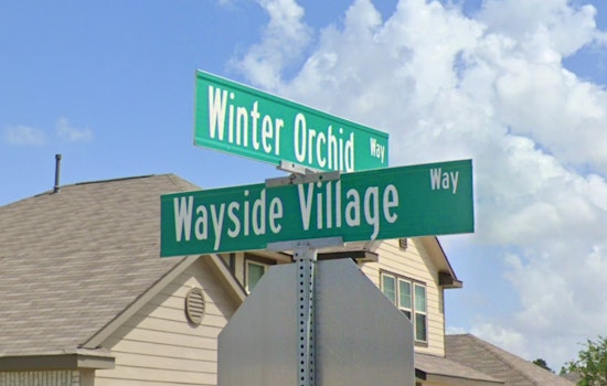 Houston Police Investigate After Elderly Woman Fatally Mauled by Dogs in Quiet Neighborhood