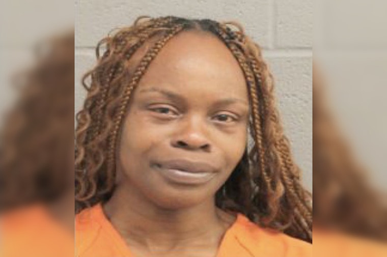 Houston Woman Detained for Allegedly Using Electroshock Weapon in Neighborhood Dispute