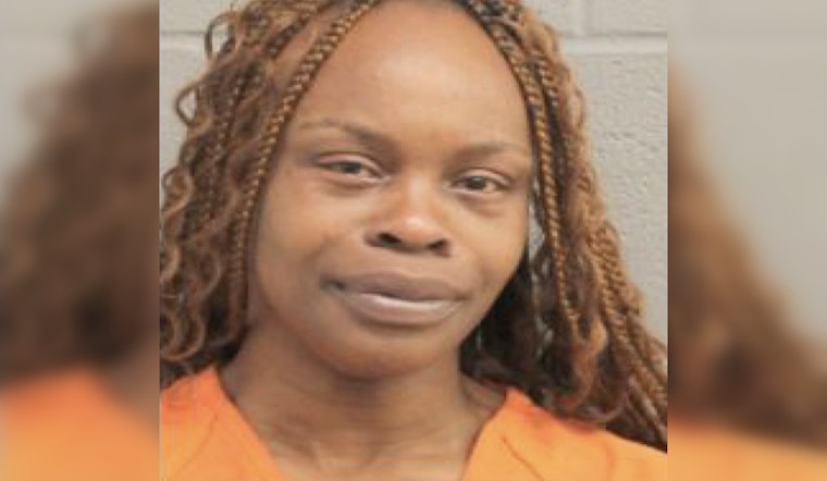 Houston Woman Detained for Allegedly Using Electroshock Weapon in Neighborhood Dispute