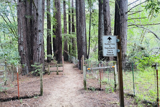 Huddart Park Closed for Search and Rescue Drills This Weekend, Bay Area Volunteers Train for Emergencies