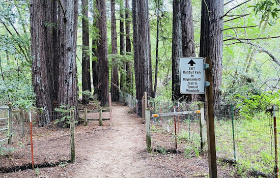 Huddart Park Closed for Search and Rescue Drills This Weekend, Bay Area Volunteers Train for Emergencies