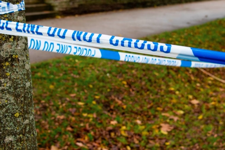 Hunter Discovers Human Skull in Plymouth Woods as Police Launch Investigation
