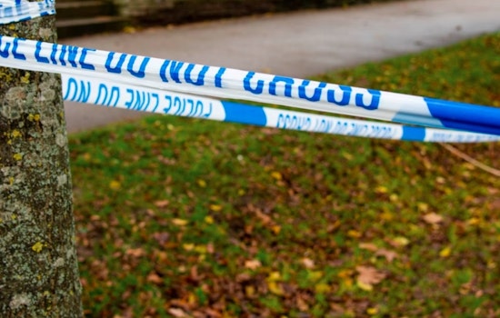 Hunter Discovers Human Skull in Plymouth Woods as Police Launch Investigation