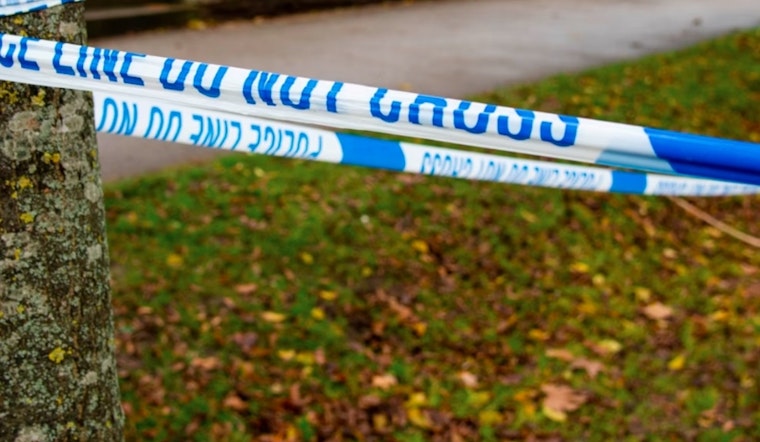 Hunter Discovers Human Skull in Plymouth Woods as Police Launch Investigation