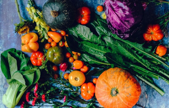 Illinois Celebrates Its Agricultural Prowess with Inaugural Agriculture Trade Day